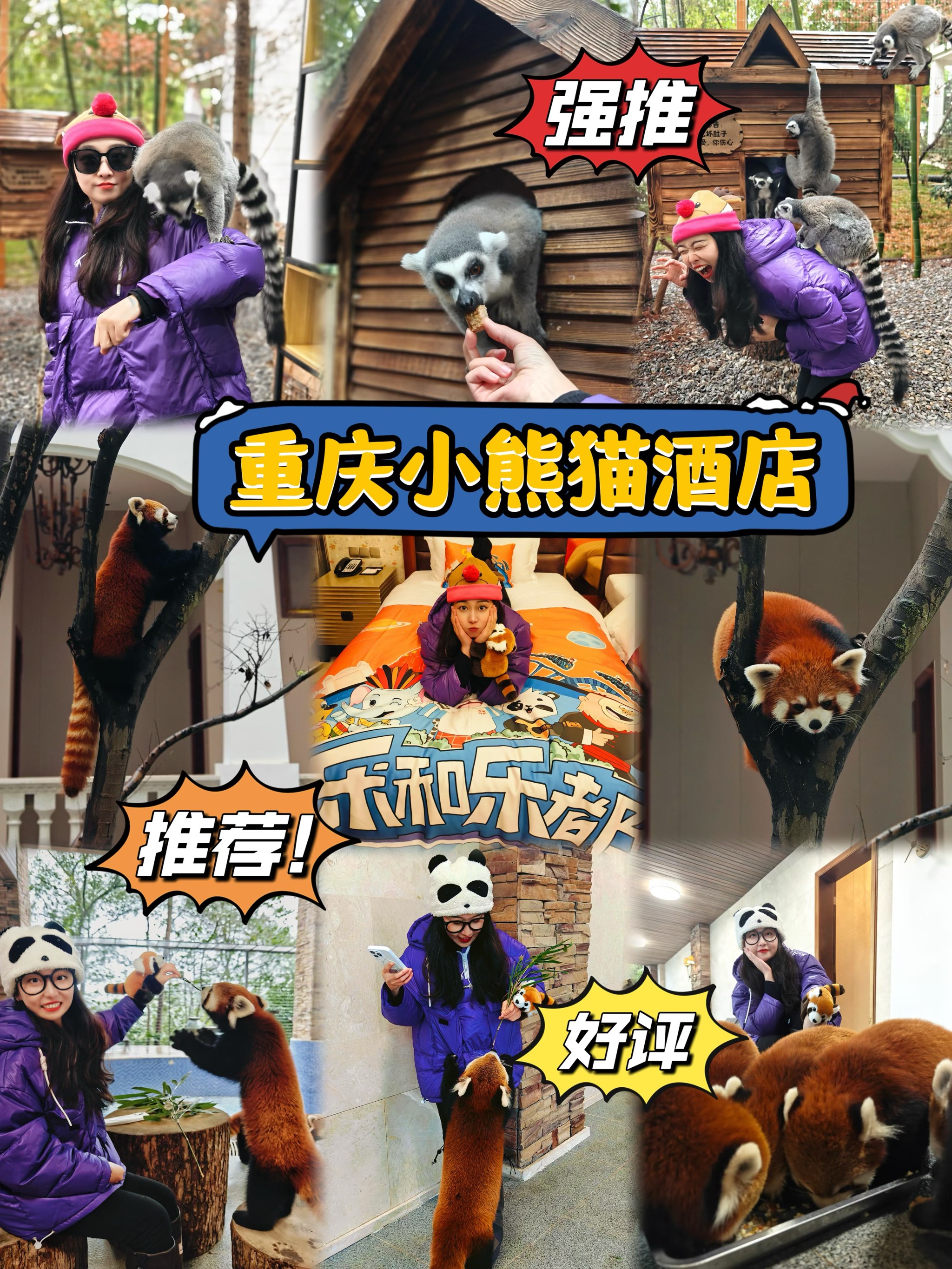 线上粉丝会:与偶像零距离互动体验 线上粉丝会:与偶像零距离互动体验