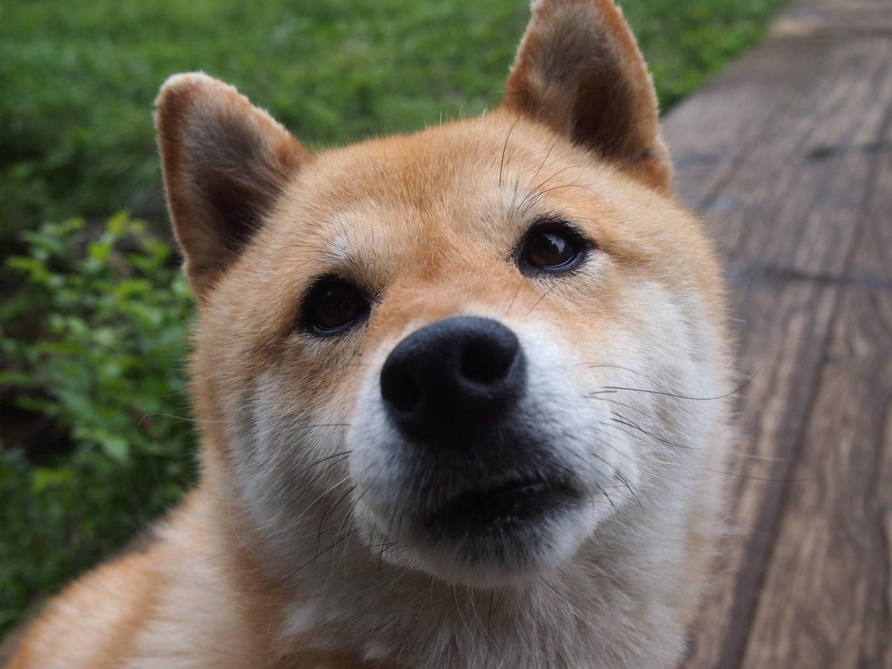 _极地冰雪滑行：体验雪原速度的快感_，极地冰川