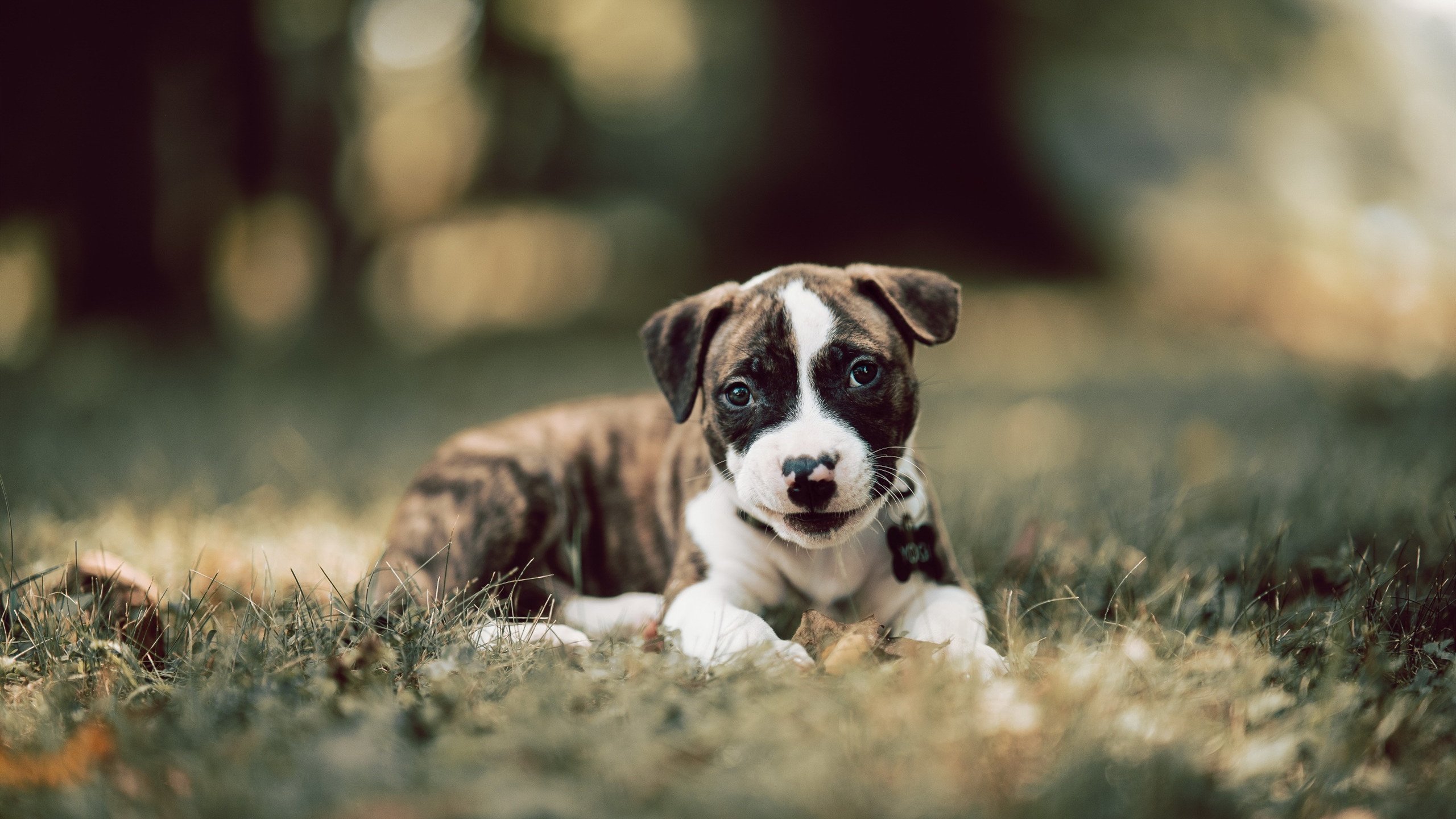 爱游戏在线登录入口-【最难忘时刻】本赛季五大逆转胜利盘点，季后赛逆转