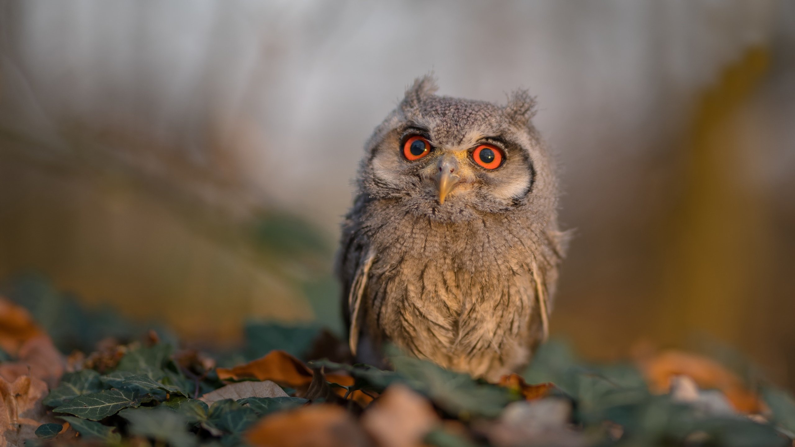 AYX GAME-史上最具话题的运动事件，你不能错过的那些瞬间，关于运动的典型事例