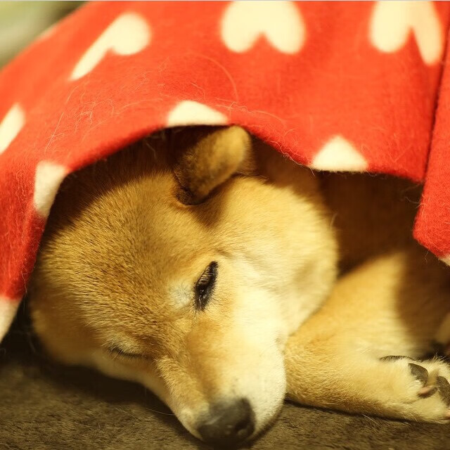 大奖赛最爆笑瞬间合集，大奖赛是什么意思