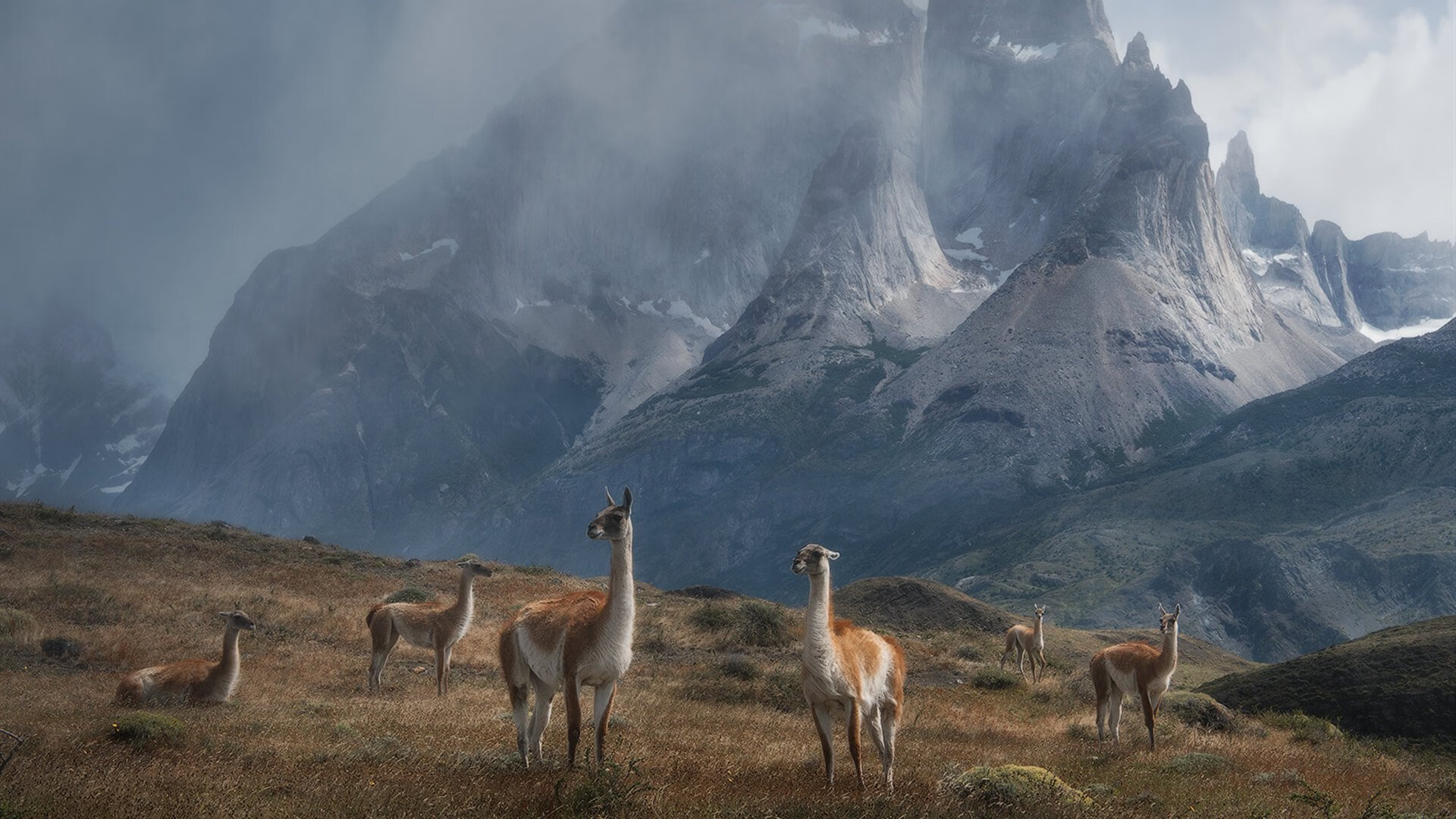 爱游戏综合娱乐-特色篮球文化走入中小学课堂，助力校园体育教育提升，篮球特色学校实施方案