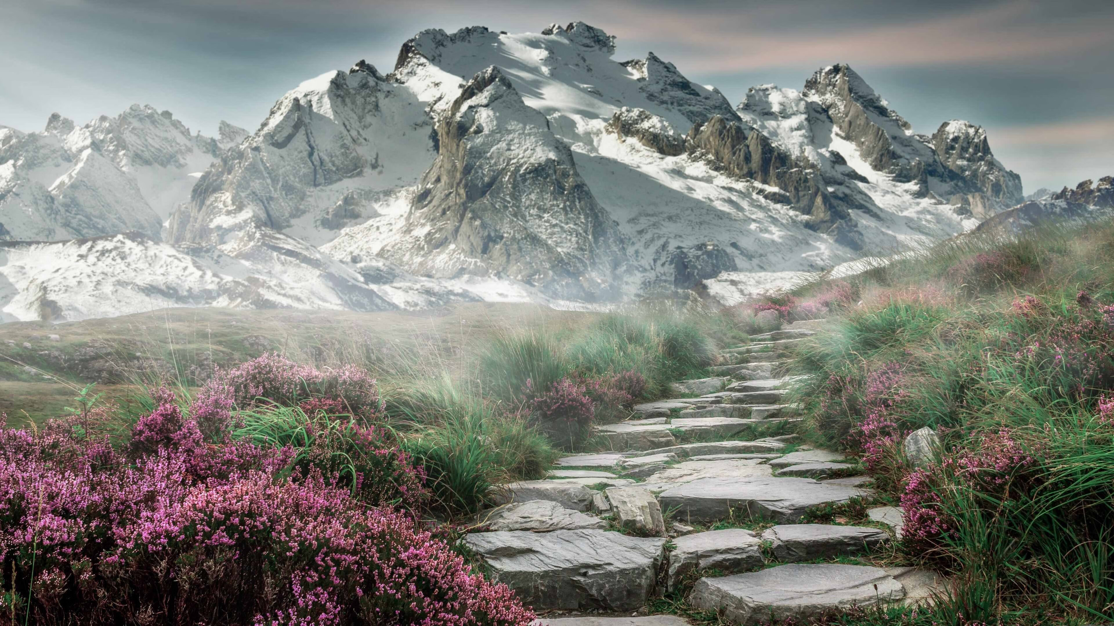 【战术解析】马克·塞尔比:如何用防守布局扼制对手?,马克,塞尔比