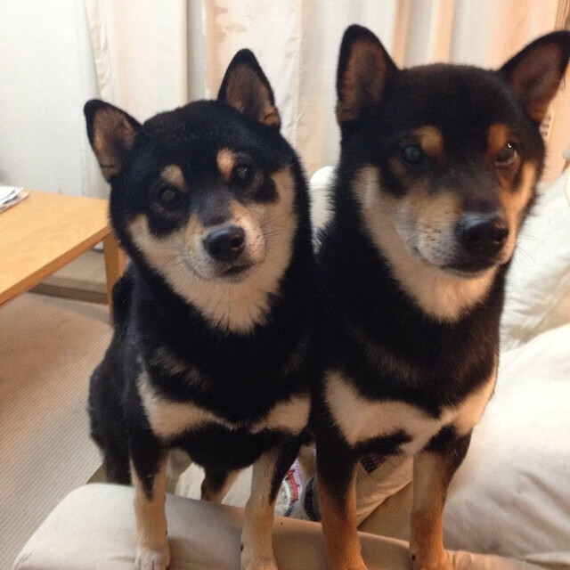 爱游戏娱乐网址-北京国安主场观众热情高涨，2020北京国安主场在哪