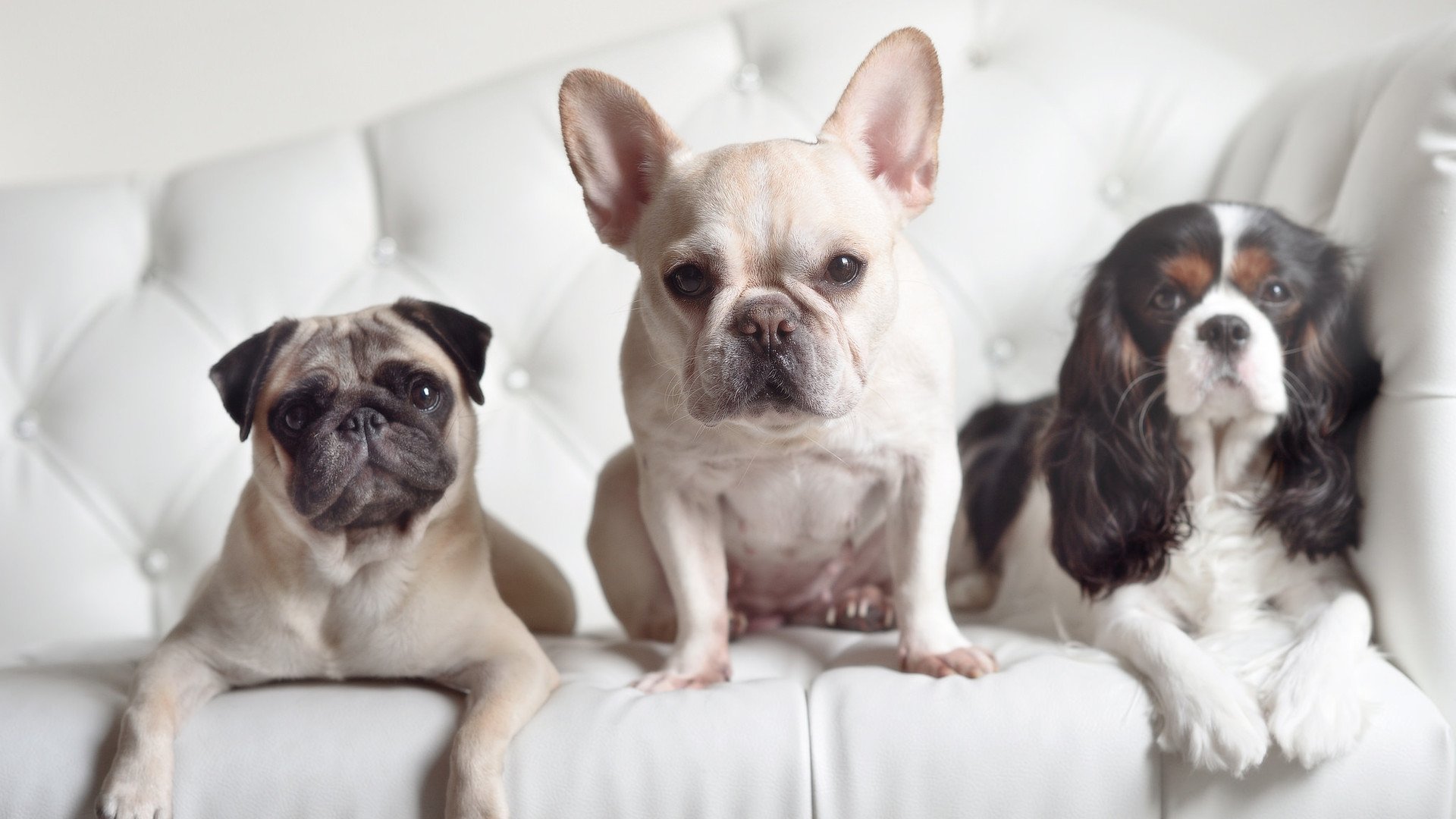 AYX GAMING-中国青训体系“走出去”，推广国际先进青训理念，青训体系是什么