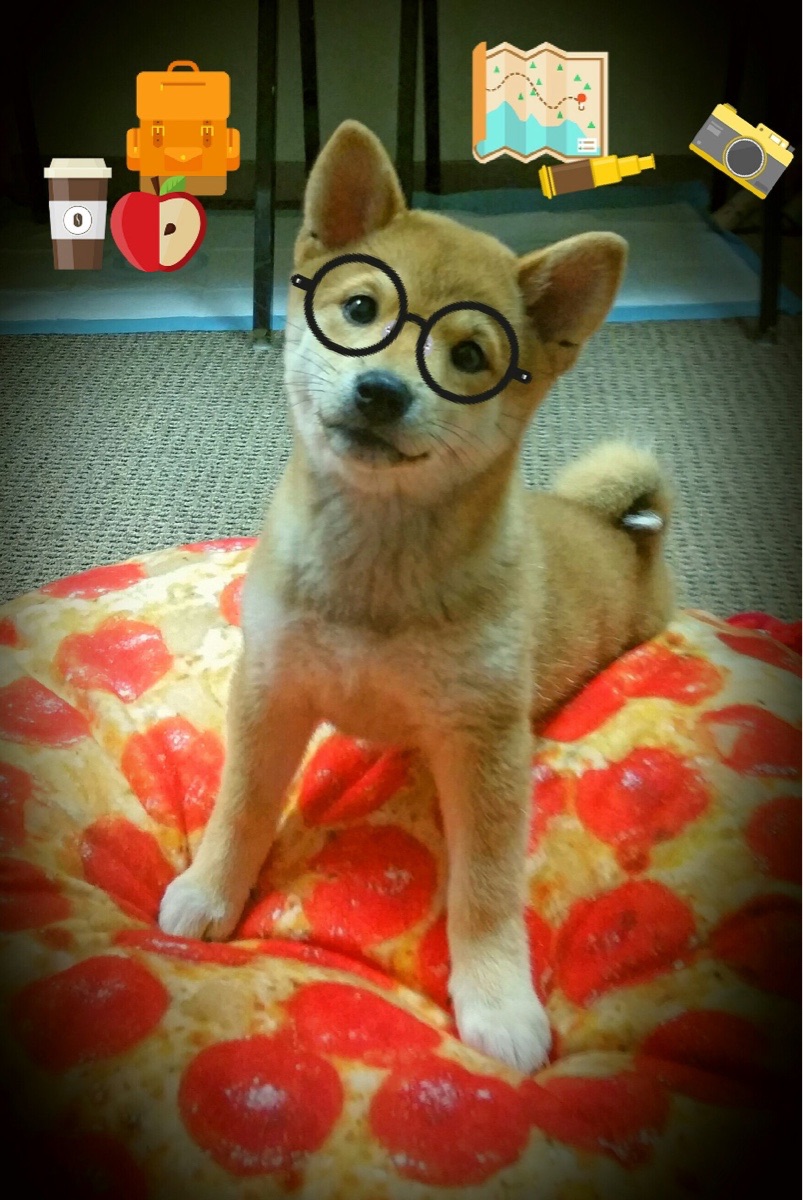 爱游戏在线登录入口-尼日利亚球队战术创新，尼日利亚阵容名单