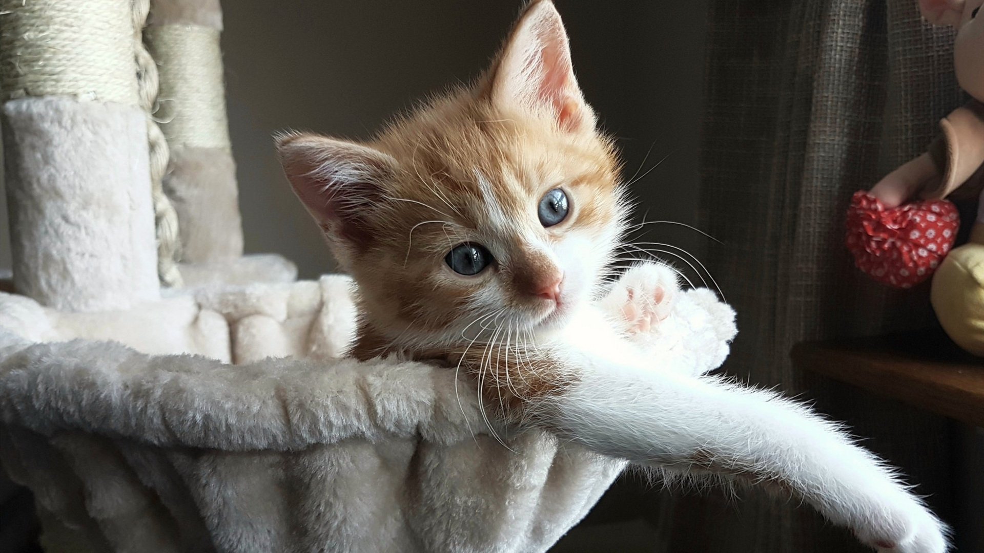 广州队士气高涨，毫不弱于对手实力，广州队比赛集锦