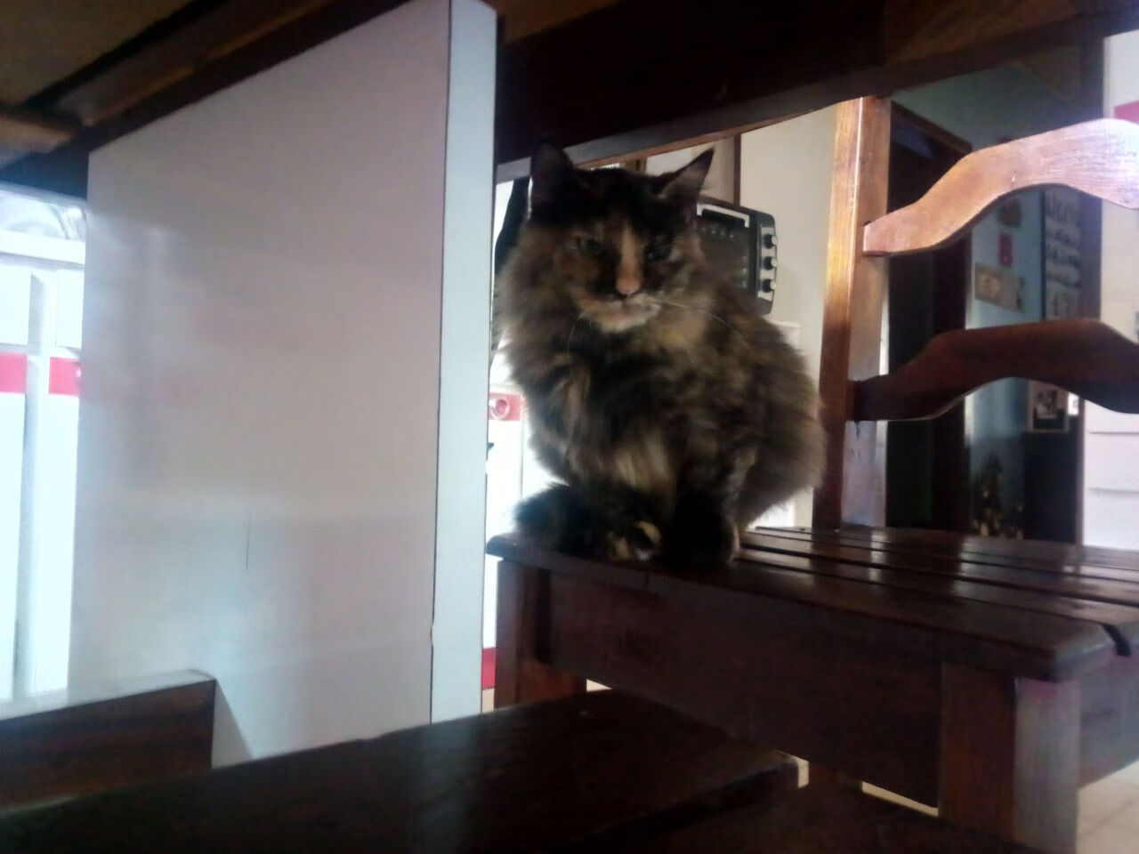 拉齐奥主场大胜维罗纳,因莫比莱梅开二度,拉齐奥转会