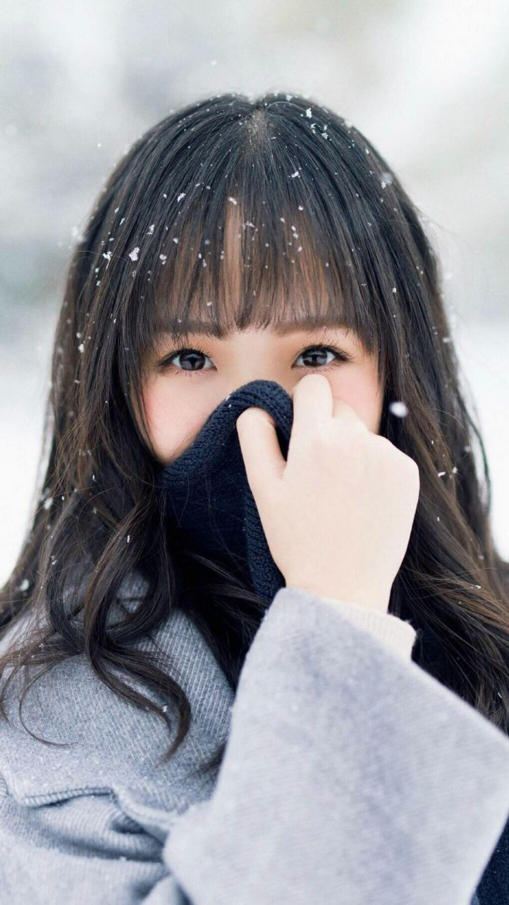 日本马术协会与大学合作，开展马术专业课程，培养专业人才。，日本东京马术俱乐部