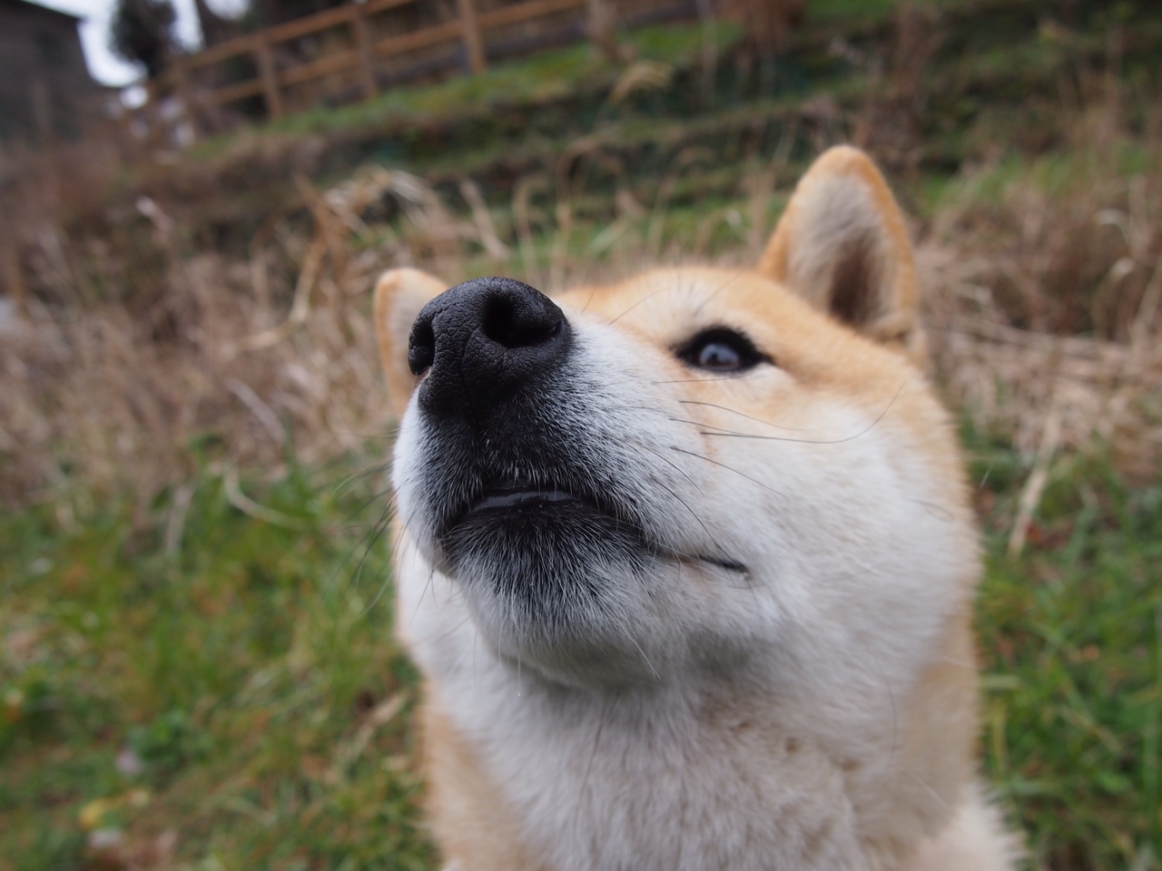 AYX GAMING-欧洲国家队纷纷出击，争夺殊荣的角逐即将揭开序幕，欧洲国家队阵容