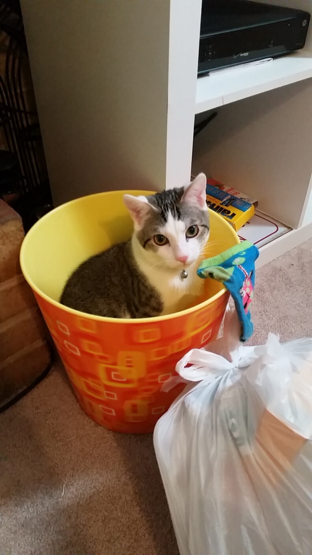 史上“最精彩”的团队配合瞬间,战术大展示!,团队搭配的黄金法则