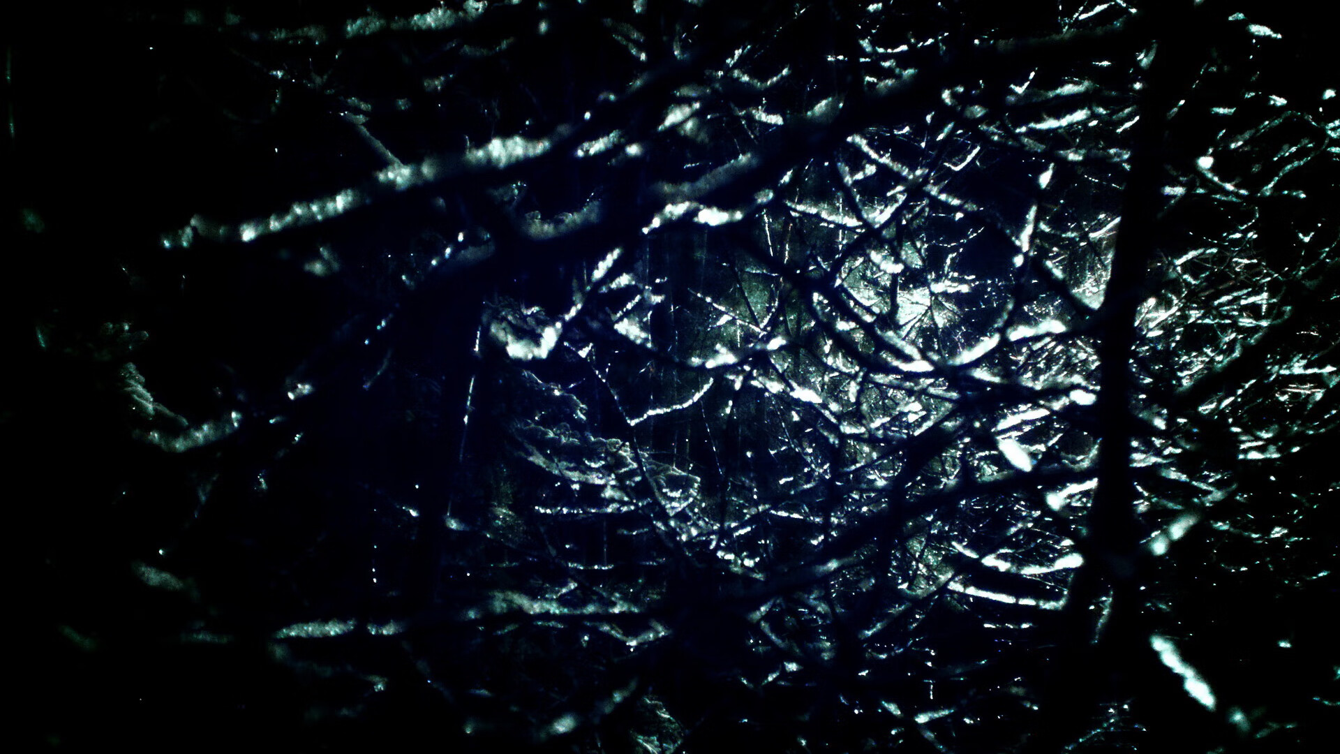 福建豹发力关键时刻展现韧性,福建豹发力简介