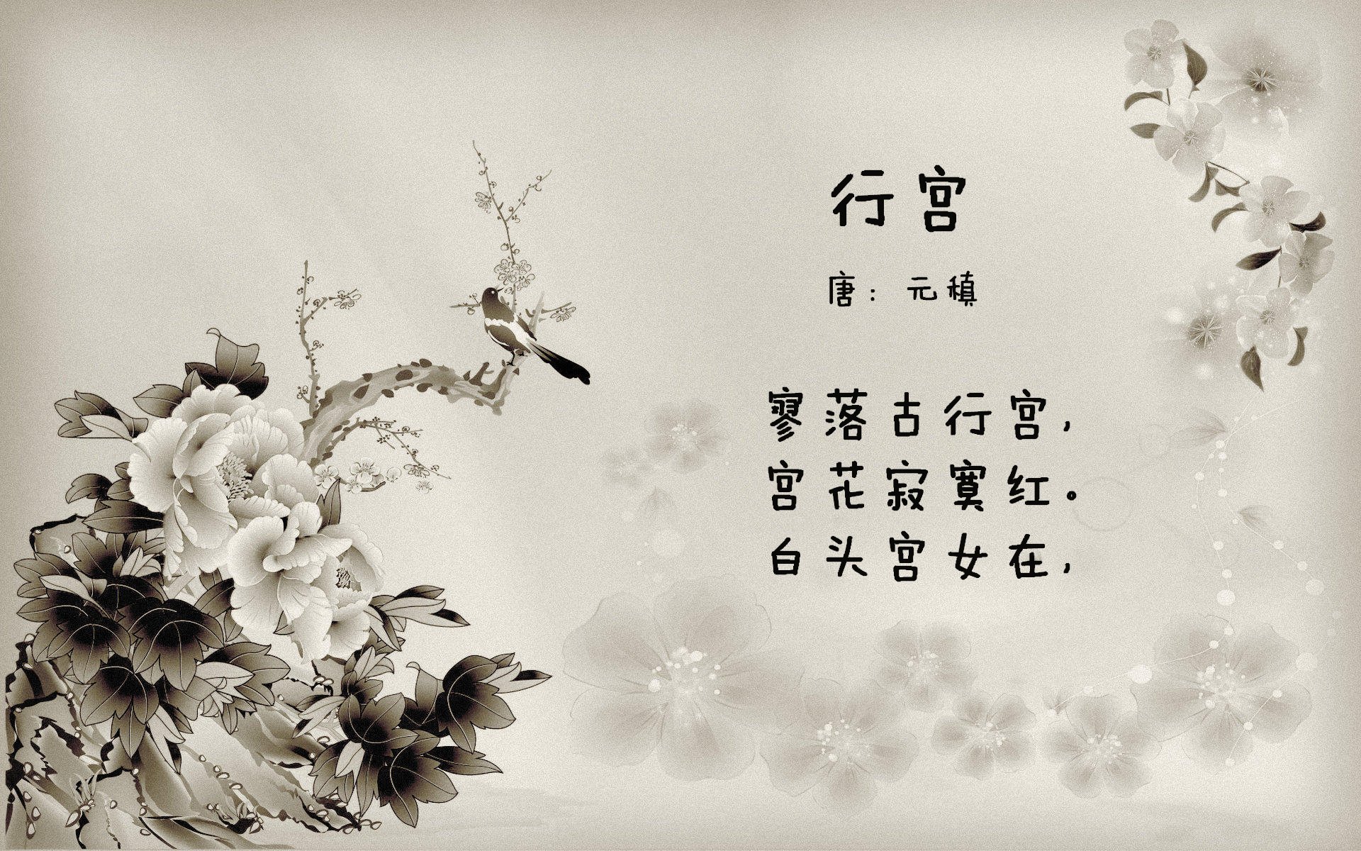 美国青少年马术选手在2024年全国青少年马术锦标赛中表现出色,获得多项荣誉。