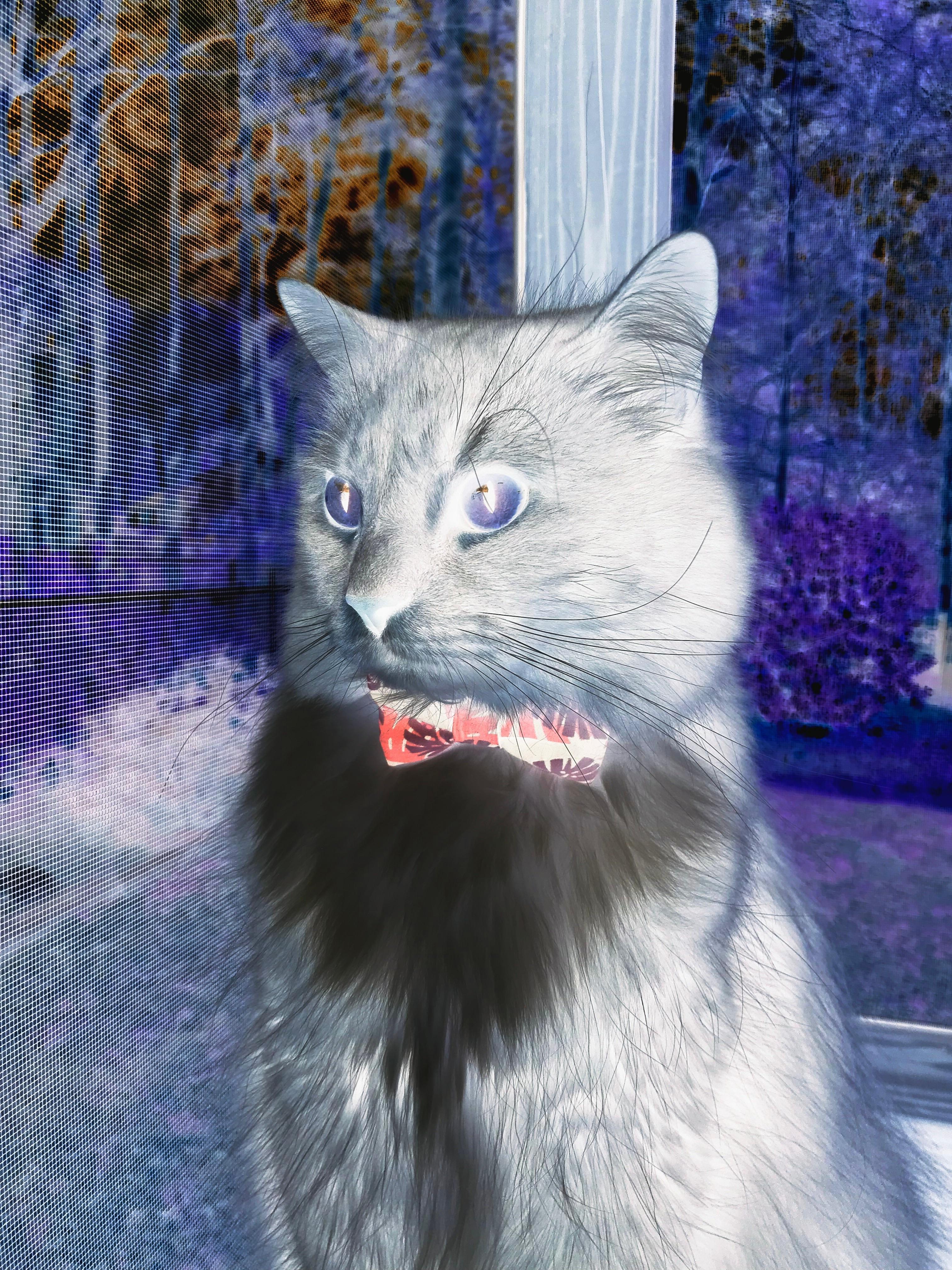 爱游戏下载-青岛男篮球队比赛节奏掌控优秀，青岛男篮全名