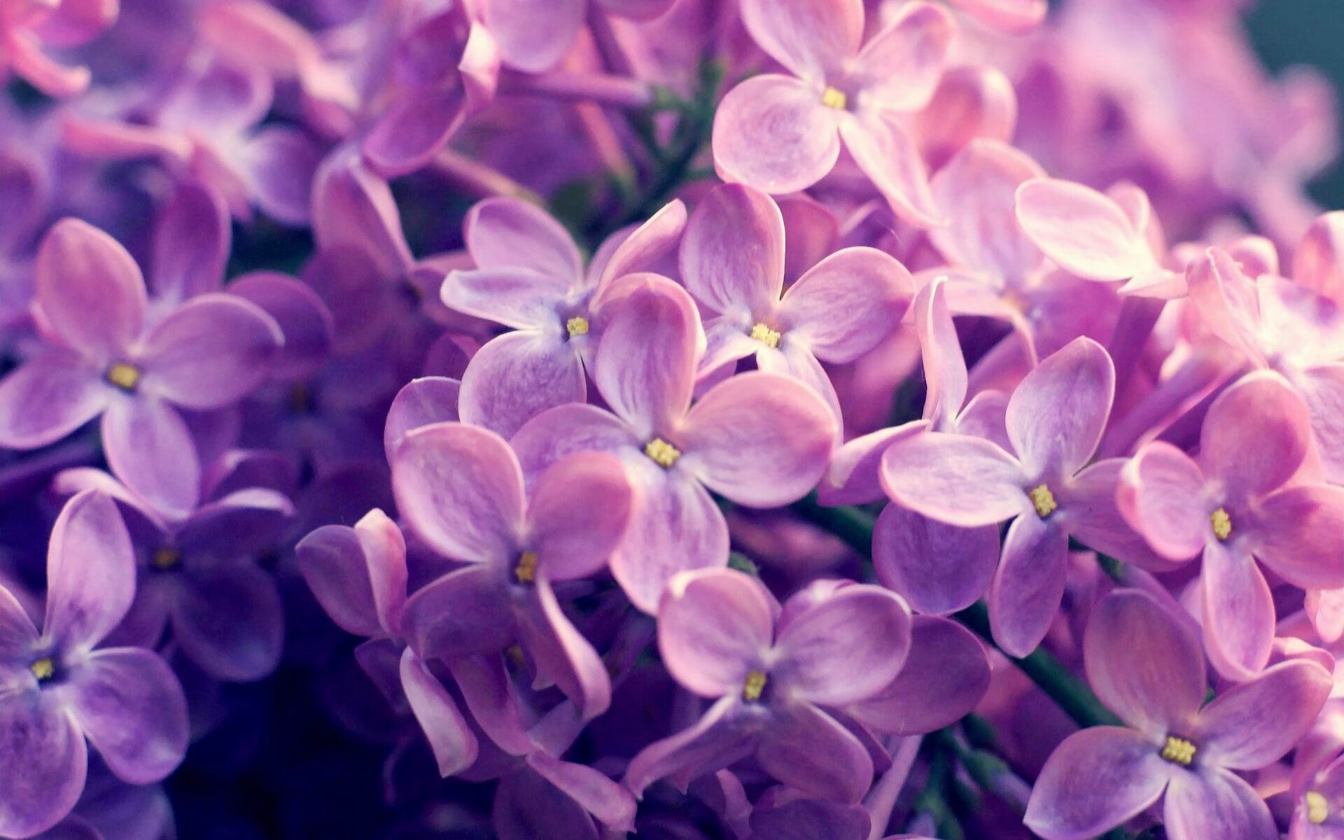 新兴游戏类型引领电竞新潮流,关注度持续升高,新兴的游戏