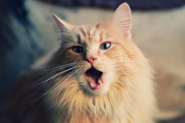 数字技术赋能青训,虚拟实战训练普及推广,数字技能培训大赛