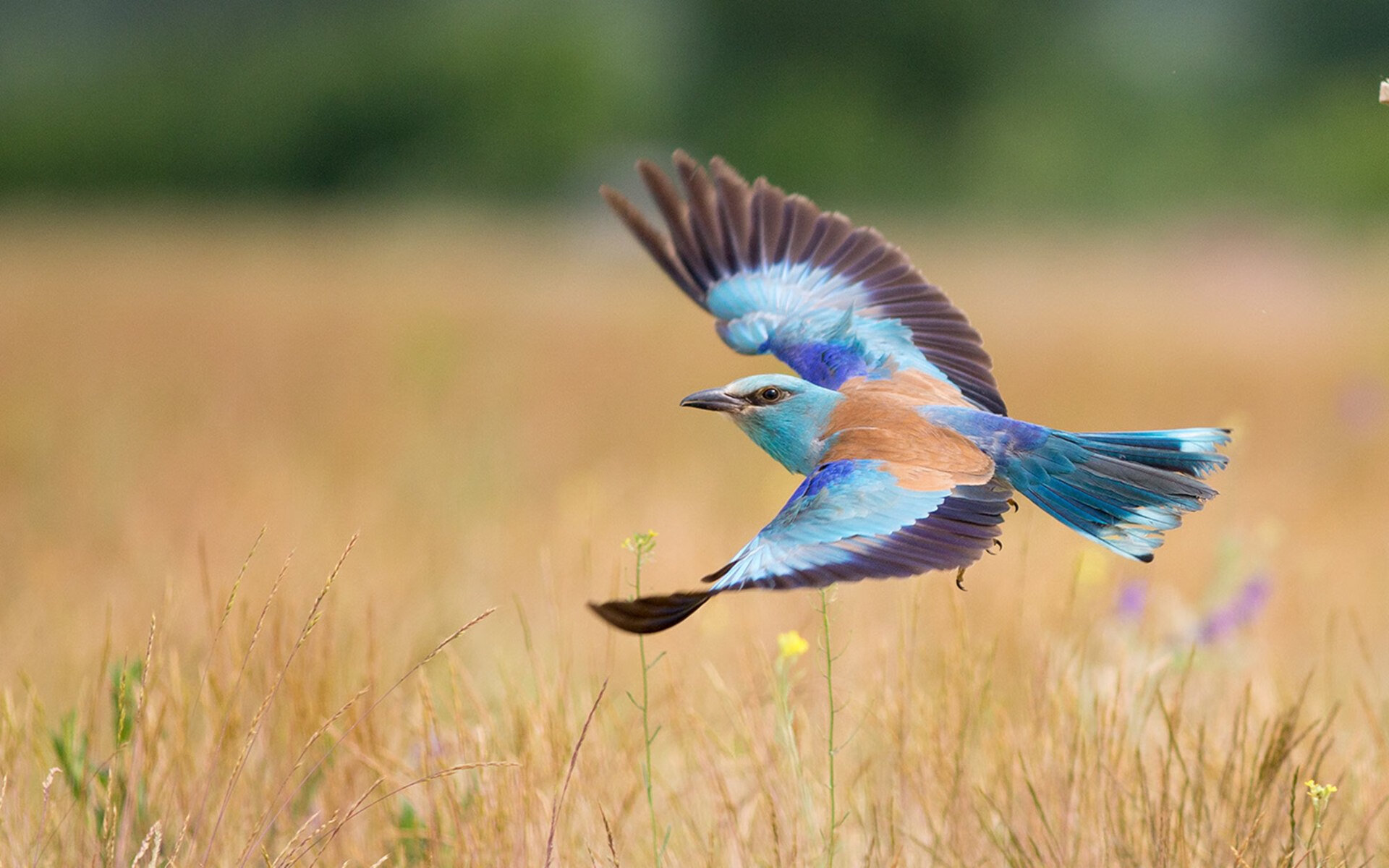 投票:赛季最期待的比赛地点?,赛季最佳