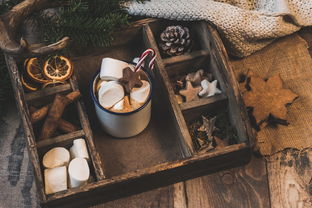 爱游戏电竞官网-NBA赛季助攻王表现动态，nba本赛季助攻王