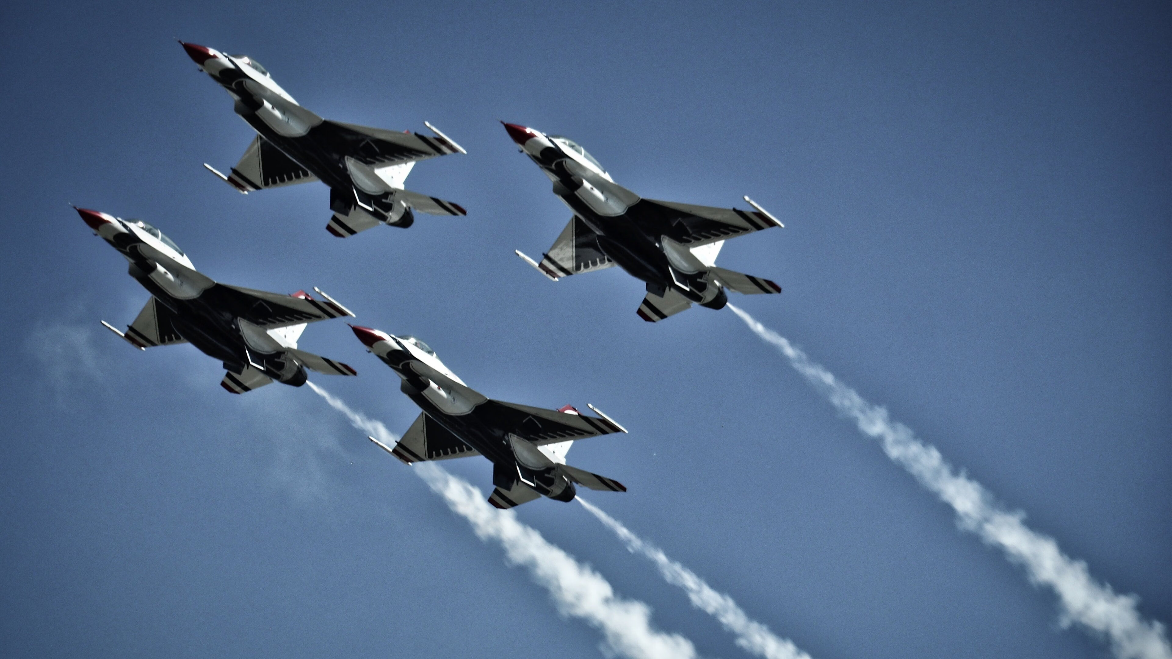 荷兰马术协会与大学合作，开展马术运动营养研究，优化饮食方案。