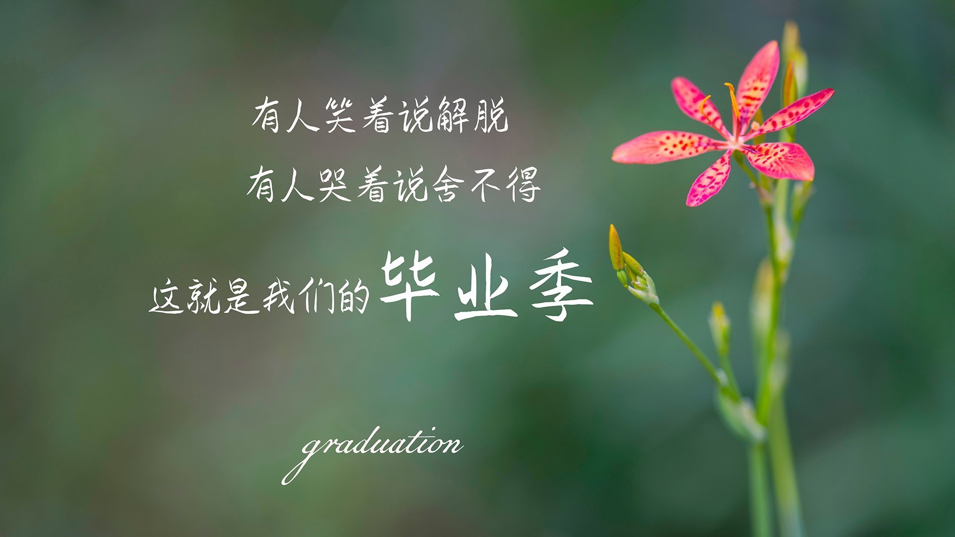 西甲裁判语言模型优化多语种环境下判罚的准确率，西甲裁判小公主