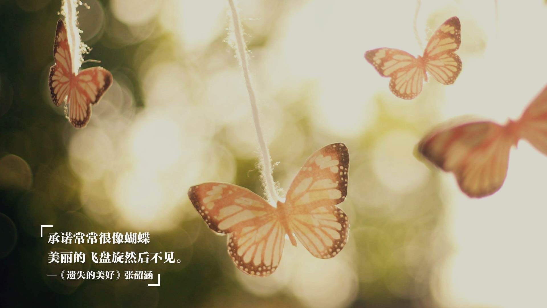 中国足球联赛新赛季新面貌，球员表现引人注目，中国足球国内联赛