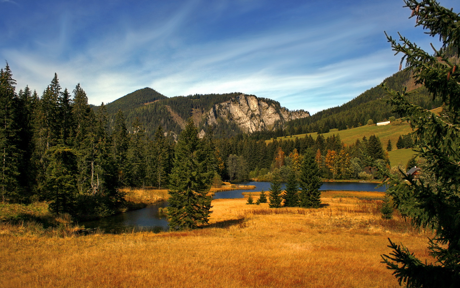 AYX GAME-佩纳罗尔主帅战术调整，佩纳罗尔对巴拉纳竞技