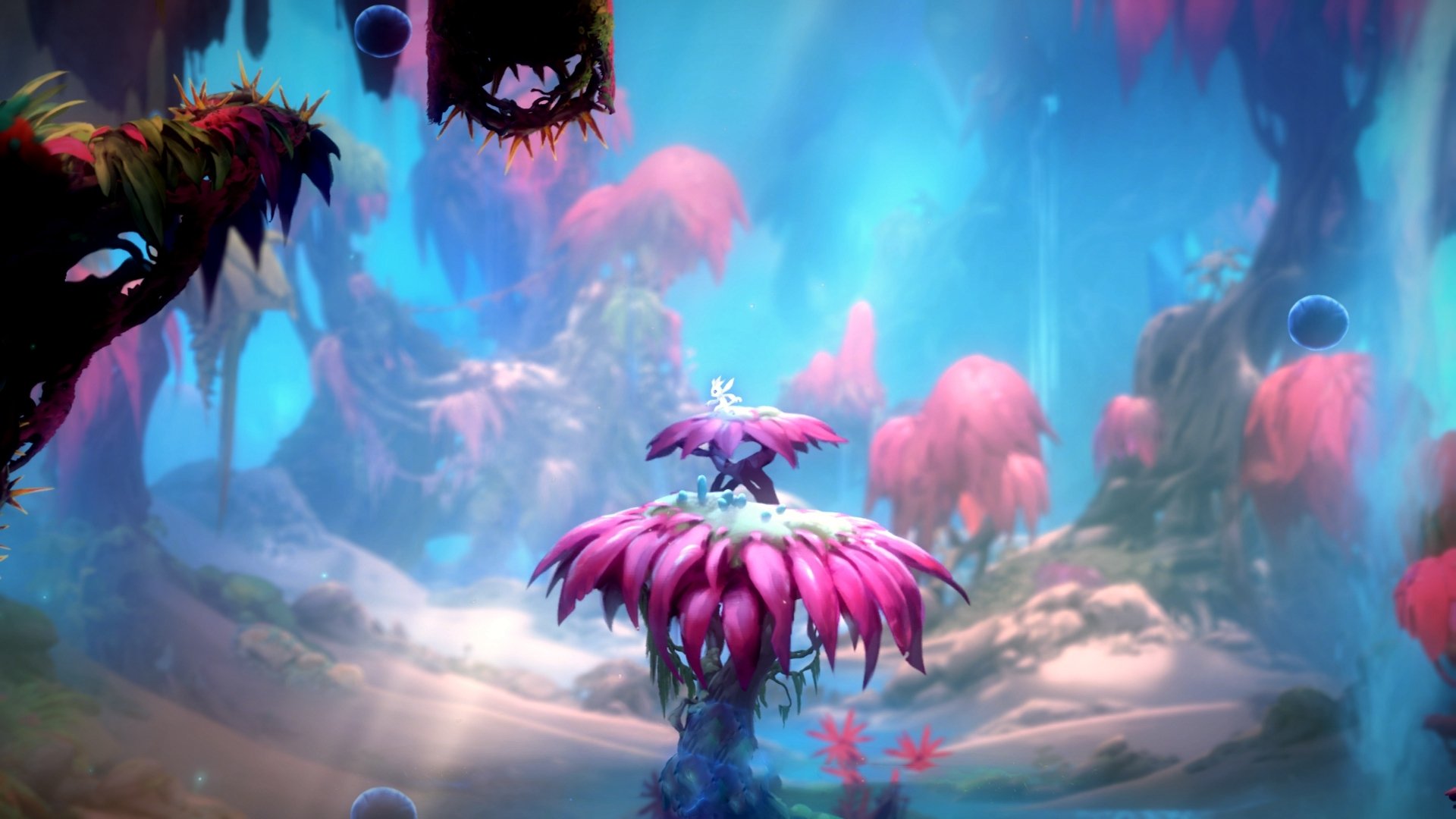 凯尔特人球队整体实力稳步提升