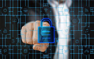 爱游戏平台-马术运动进校园课程体系初步建立，马术走进校园合作方案