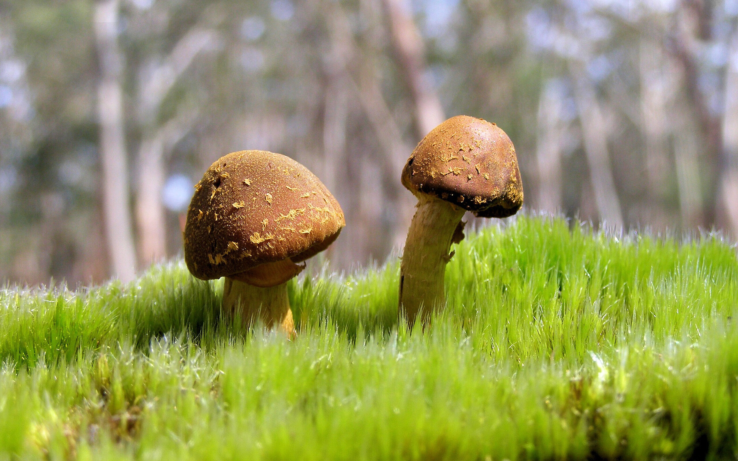 宁夏队球员在近期比赛中表现出稳定实力，取得关键胜利，宁夏足球最佳阵容