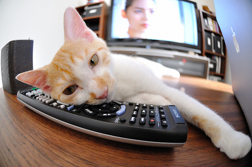 巴西男排强势夺冠，世界联赛中零失误封王，巴西男排队员名单