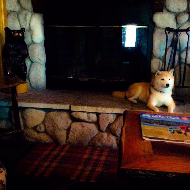 爱游戏电竞官网-意大利豪门签下乌拉圭射手，梅开二度助球队获胜，乌拉圭国家队射手榜