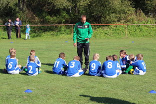 爱游戏电竞官网-德甲球队构建战术模拟平台提升临场应变能力，德甲模式