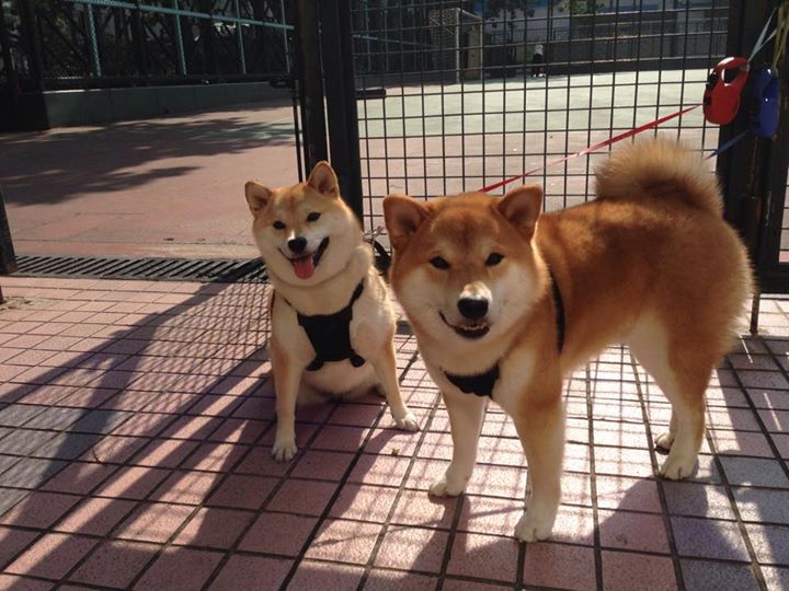 爱游戏平台-热火训练中重点练习夹击防守提升压迫性，热火训练强度