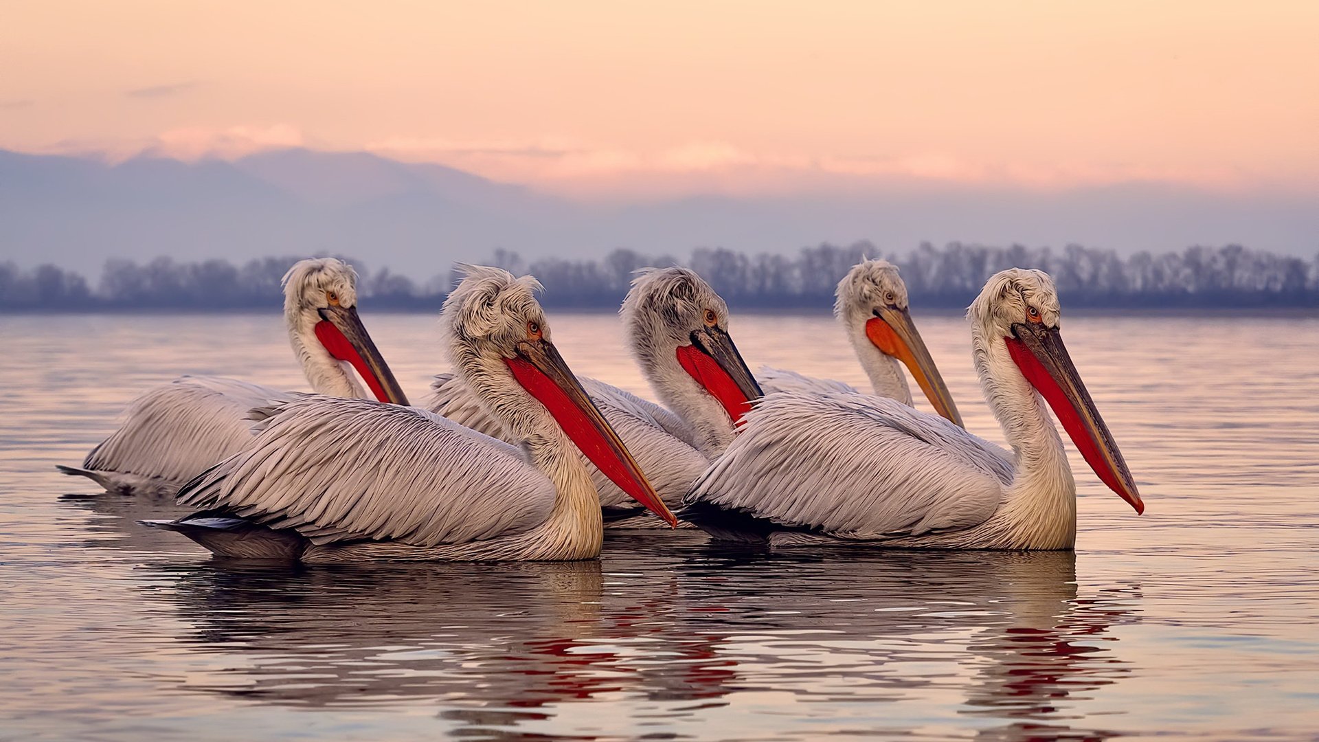 爱游戏官方-英超球队基于AI错误预测模型制定比赛期轮换策略，英超各轮裁判安排
