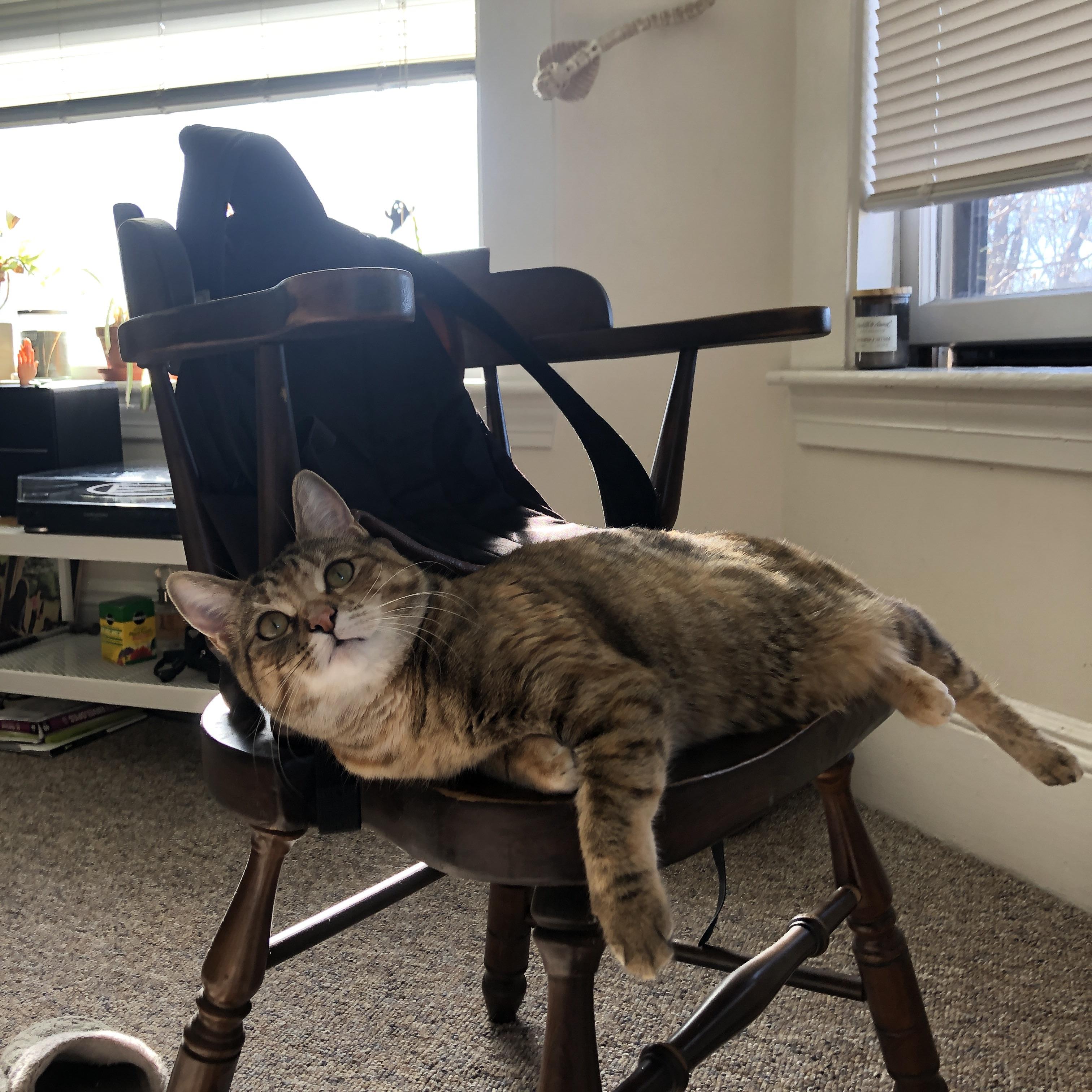 网球大满贯青少年组竞争日趋激烈,网球大满贯项目