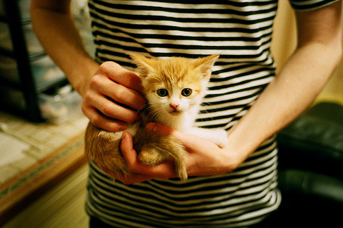 “拳击选手全力出击，四川省体育馆迎来激烈角逐”