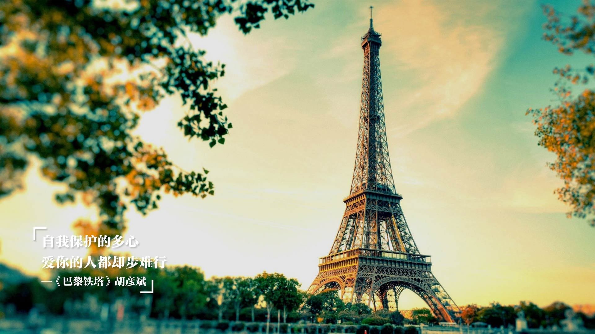 “腰旗美式橄榄球:东部新区赛场迎接极速与巧妙的对抗”