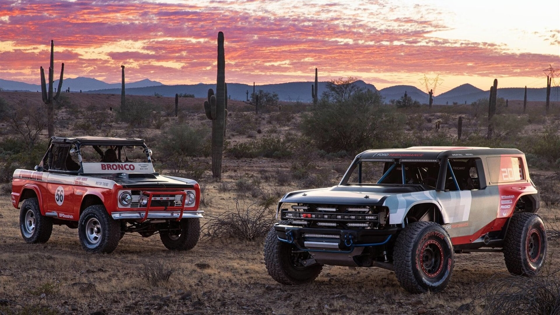 中美澳德蝶泳节奏变化趋势同步对比,蝶泳奥运会比赛视频