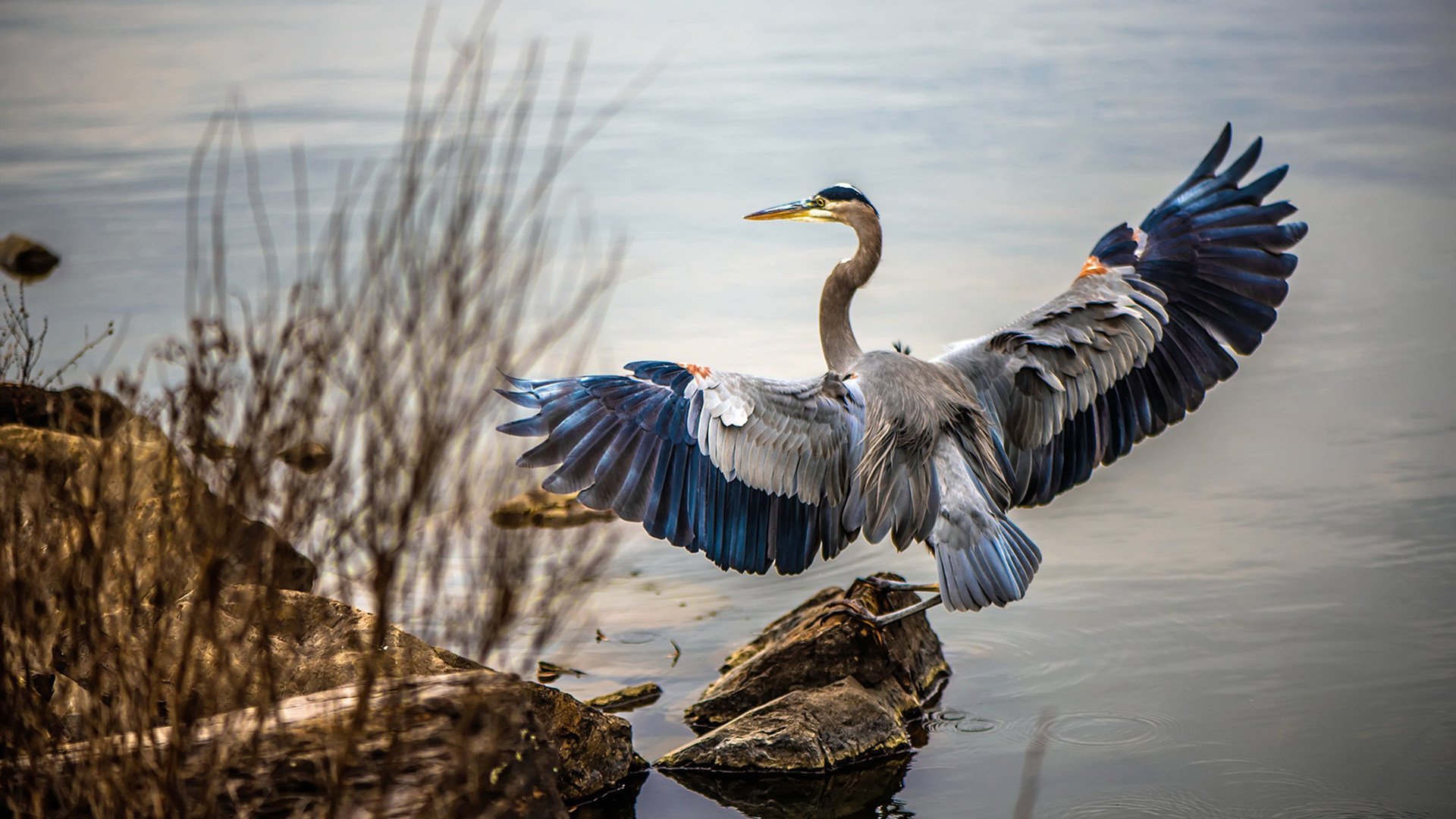 爱游戏体育APP下载-决赛战术分析：切尔西进攻更具威胁，切尔西决赛首发