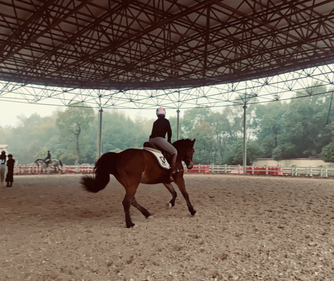 关于爱游戏体育:郭田雨：表示将继续努力训练，提升自身实力的信息